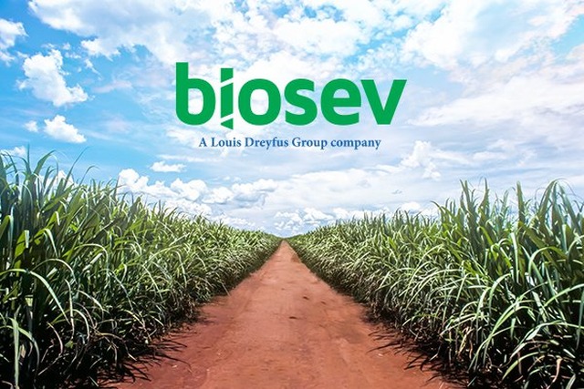 Louis Dreyfus vai injetar US$ 1 bilhão na Biosev