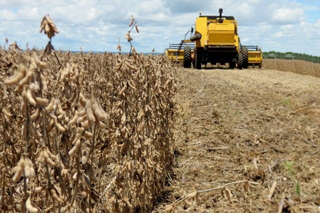 Pela sexta safra consecutiva, Mato Grosso do Sul quebra recode de produção de soja
