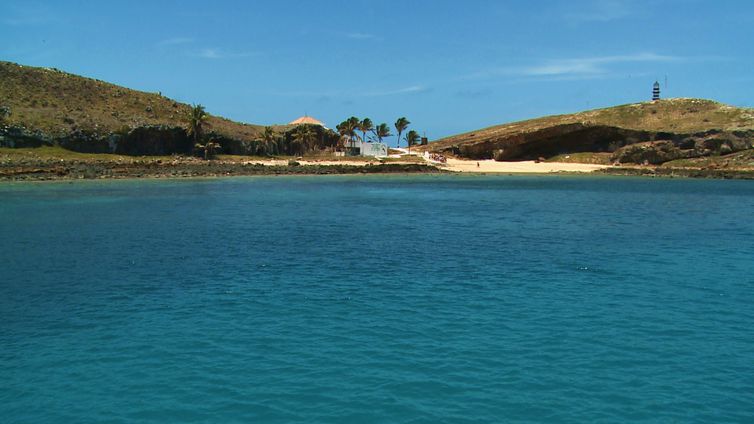 Concurso vai premiar imagens do fundo do mar de Abrolhos © Divulgação/TV Brasil
