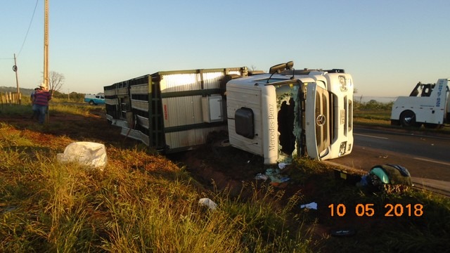 Carreta boiadeira tomba em rodovia de MS e parte do gado morre Carreta boiadeira tomba em rodovia de MS e parte do gado morre