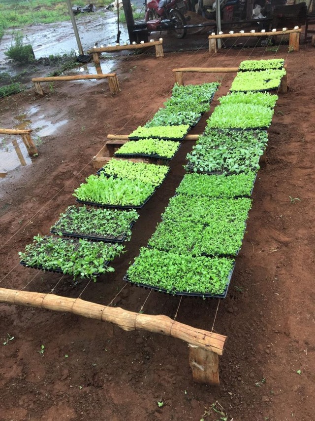 Fundação gerencia projeto de geração de renda sustentável para comunidades quilombolas e indígenas de MS