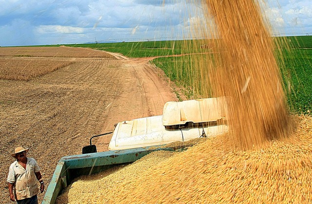 Pequenos produtores podem se inscrever para a venda de até R$ 20 mil em produtos