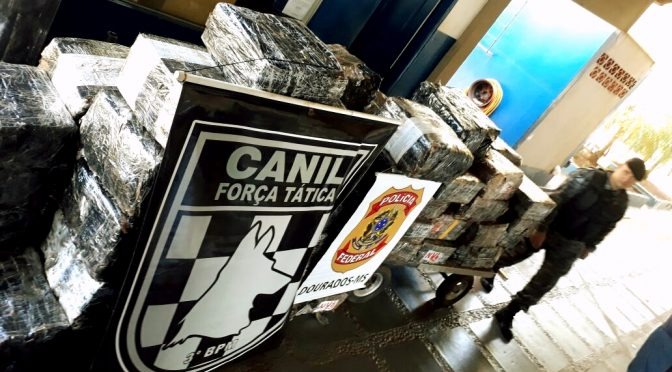 4,7 toneladas de drogas são tiradas de circulação pela Policia Militar na região de Dourados