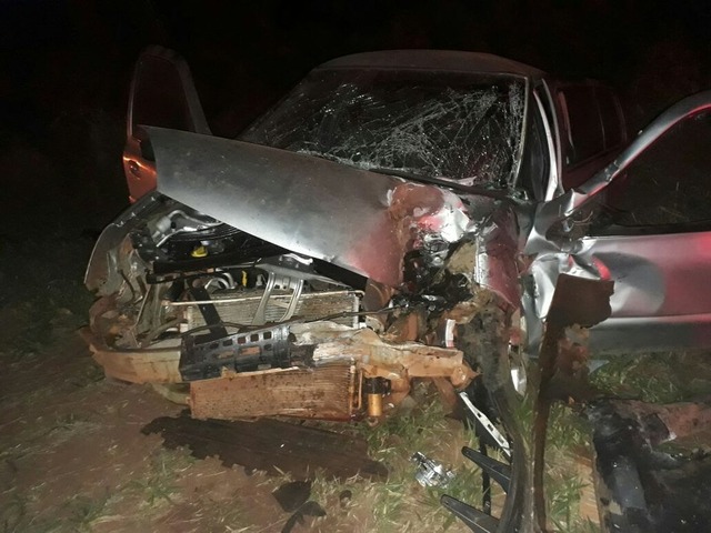 Motorista que bateu em anta na BR-060, em MS, passa por cirurgia na Santa Casa de Campo Grande