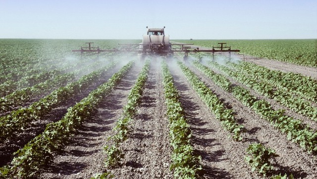 ARTIGO: Os verdadeiros donos da bola ARTIGO: Os verdadeiros donos da bola