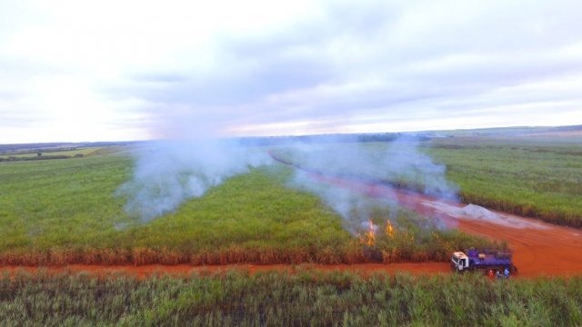 Usina de Nova Alvorada do Sul é multada em meio milhão por incêndio em vegetação Usina de Nova Alvorada do Sul é multada em meio milhão por incêndio em vegetação
