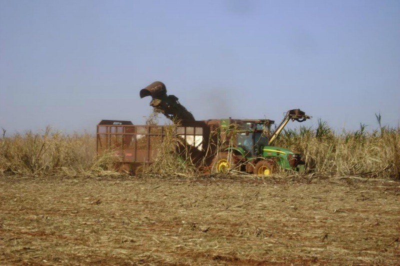 Ministério Publico pede suspensão de atividade da Usina Agro Energia Santa Luzia por lançamento inadequado de vinhaça Ministério Publico pede suspensão de atividade da Usina Agro Energia Santa Luzia por lançamento inadequado de vinhaça