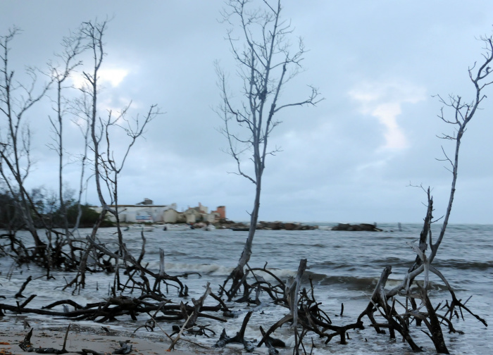 Praia do Saco (SE): área costeira invadida