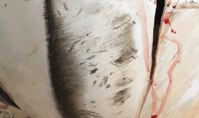 Feminicídio: marido derruba mulher de Biz e passa por cima de sua cabeça com Land Rover Feminicídio: marido derruba mulher de Biz e passa por cima de sua cabeça com Land Rover