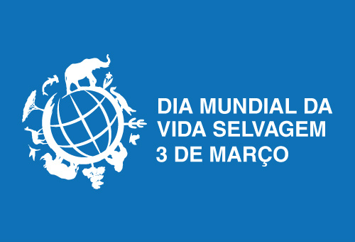 País alerta para conservação da vida selvagem
