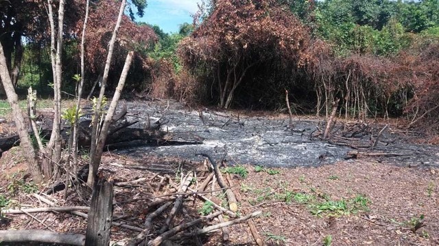 Homem é multado em R$ 1 mil por queimar vegetação e causar incômodo aos vizinhos Homem é multado em R$ 1 mil por queimar vegetação e causar incômodo aos vizinhos