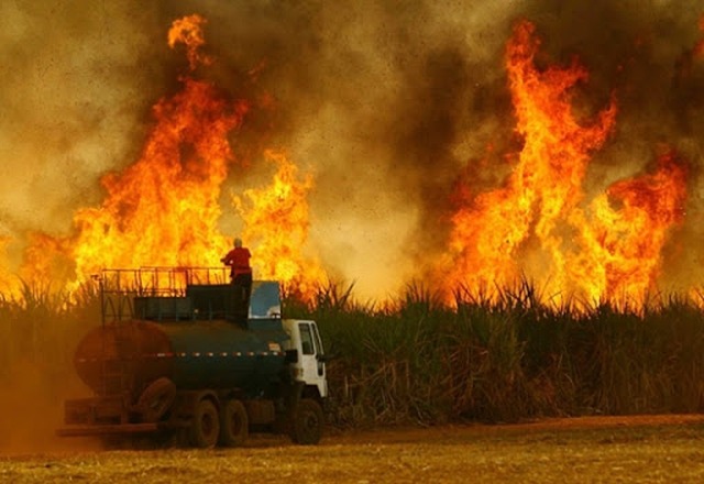 Incêndio em canavial de Nova Alvorada do Sul gera multa de R$ 666 mil