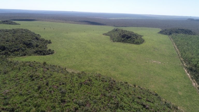 PMA de Coxim autua infrator em R$ 371 mil por desmatamento de 365 hectares de vegetação nativa PMA de Coxim autua infrator em R$ 371 mil por desmatamento de 365 hectares de vegetação nativa