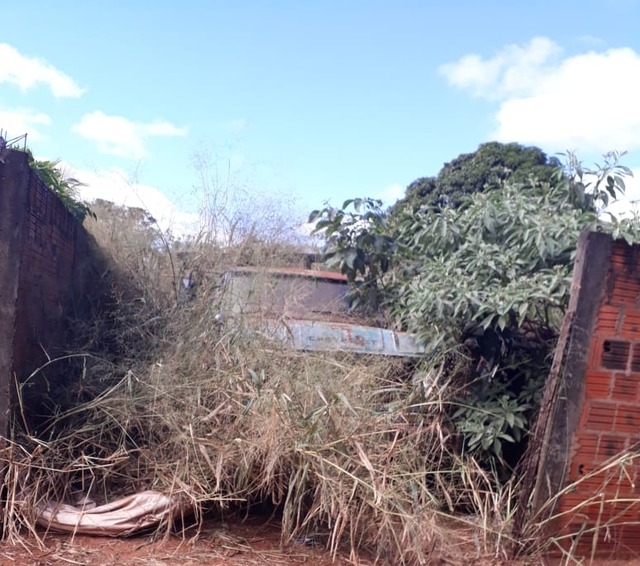 Com Alta Incidência de Dengue Nova Alvorada do Sul já possui 287 casos notificados Terreno com condições propicias para proliferação de vetores. Foto Divulgação