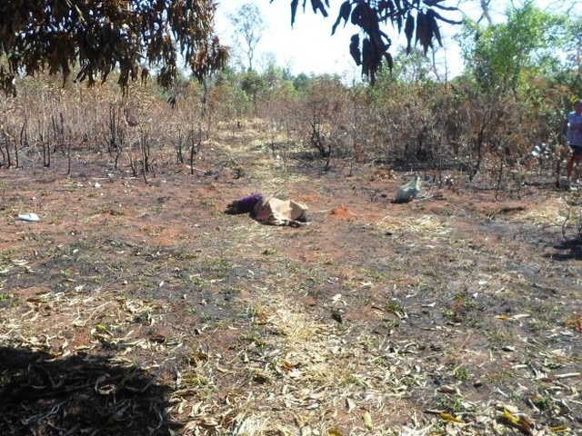 Mulher tem rosto deformado e parte da língua arrancada por marido em aldeia de MS Aldeia onde uma mulher foi morta pelo companheiro em MS; casos de violência doméstica são frequentes no local — Foto: Divulgação/ PC