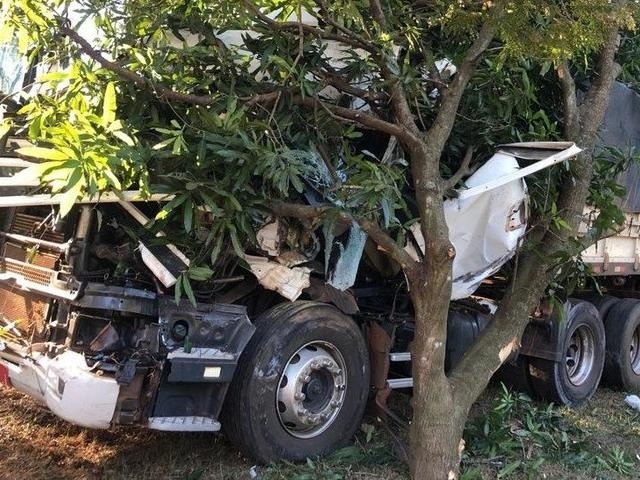 Carreta desgovernada invade propriedade rural e quase atinge casa Carreta desgovernada parou após bater em árvores. (Foto: José Almir Portela/Nova News)