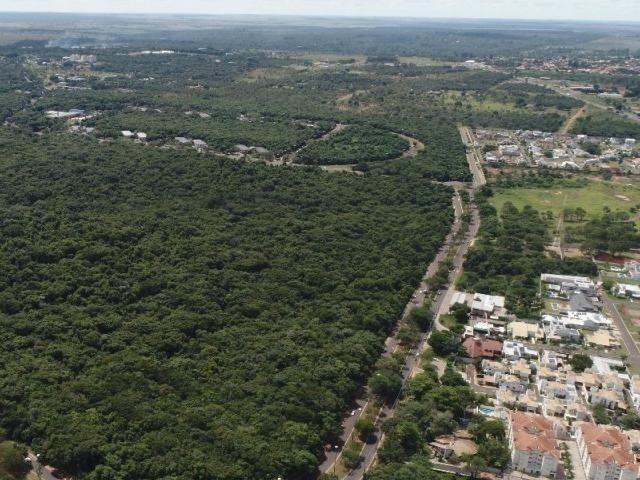 NOTA - Desmatamento no Parque dos Poderes NOTA - Desmatamento no Parque dos Poderes