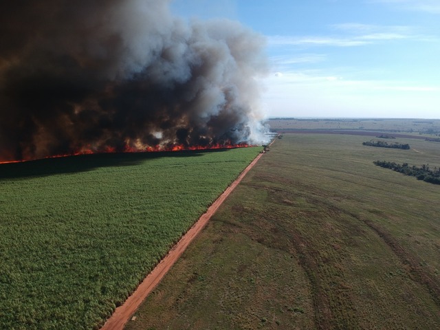 Polícia Militar Ambiental autua usina sucroenergética em R$ 953 mil por incêndio em lavoura de cana sem autorização Polícia Militar Ambiental autua usina sucroenergética em R$ 953 mil por incêndio em lavoura de cana sem autorização