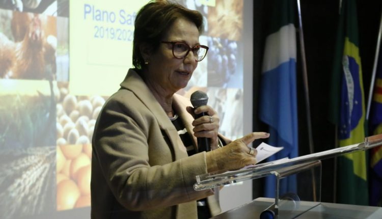 Tereza Cristina e mais dois ministros de Bolsonaro reassumem mandato para votar reforma Tereza Cristina e mais dois ministros de Bolsonaro reassumem mandato para votar reforma