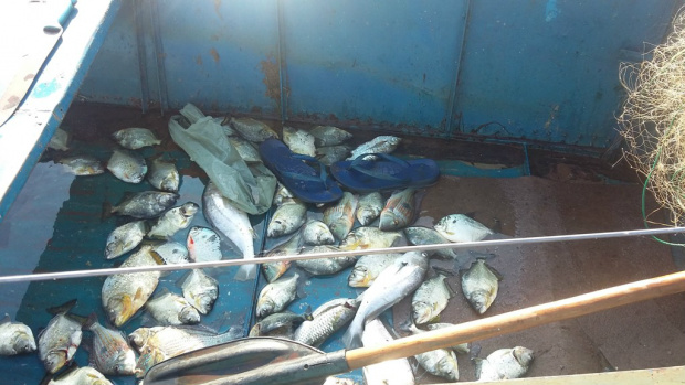 PMA prende pescador pescando com redes ilegais