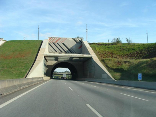 Em Nova Alvorada do Sul, a desapropriação no km 368 é para construção de viaduto. imagem ilustrativa 