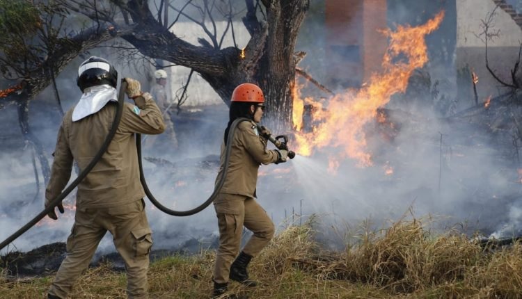 Fogo destrói 6 hectares de terreno e quase atinge sede de projeto em Campo Grande Foto: Leonardo de França, Jornal Midiamax