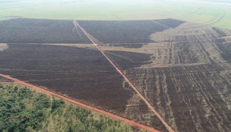Usina sucroenergética é multada em R$ 273 mil após provocar incêndio em lavoura Usina sucroenergética é multada em R$ 273 mil após provocar incêndio em lavoura