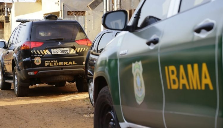 PF interditou 12 empresas que ‘esquentavam’ madeira ilegal em 7 cidades PF interditou 12 empresas que ‘esquentavam’ madeira ilegal em 7 cidades