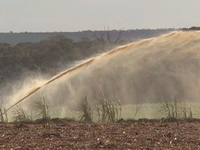 Justiça proíbe usina Atvos de fazer descarte excessivo de vinhaça após infestação de moscas Vinhança sendo lançado sobre plantação. (Foto: Reprodução/Correio do MS)