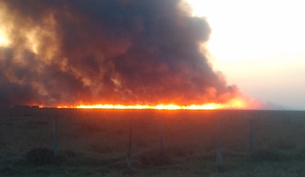 Incêndio de grandes proporções atinge mais de cinco fazendas em Nova Alvorada do Sul Incêndio de grandes proporções atinge mais de cinco fazendas em Nova Alvorada do Sul