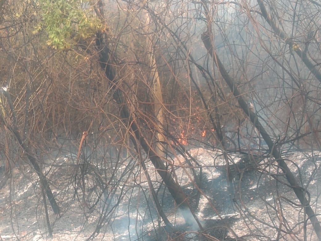 Incêndio de grandes proporções atinge mais de cinco fazendas em Nova Alvorada do Sul Incêndio de grandes proporções atinge mais de cinco fazendas em Nova Alvorada do Sul