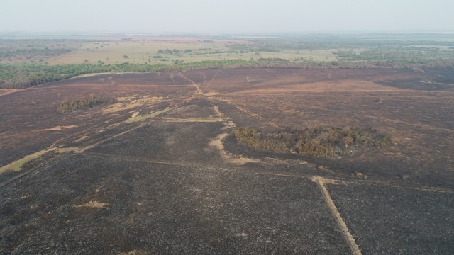 Polícia Militar Ambiental autua usina Atvos em R$ 496 mil por incêndio em lavoura de cana, pastagem e área protegida de reserva Polícia Militar Ambiental autua usina Atvos em R$ 496 mil por incêndio em lavoura de cana, pastagem e área protegida de reserva