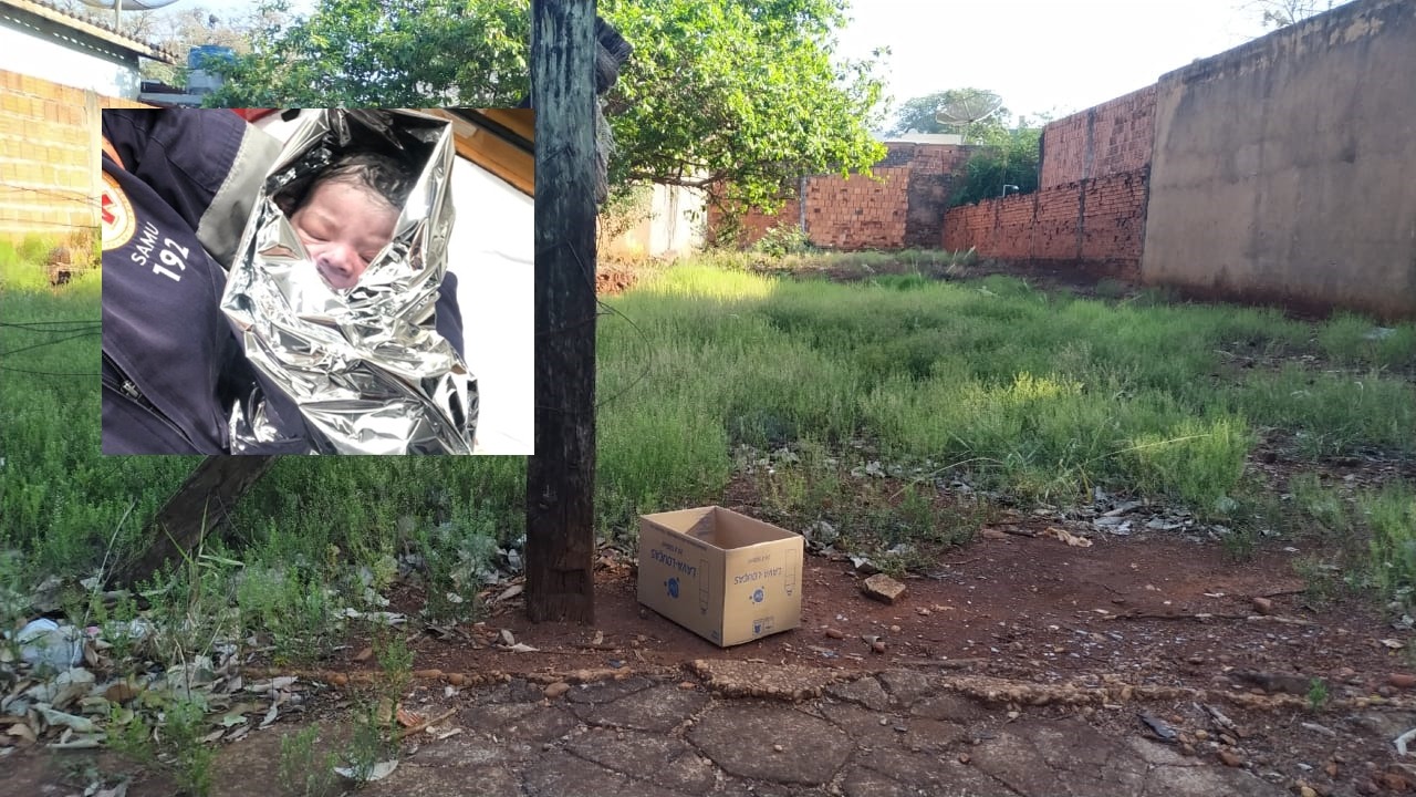 Bebê recém-nascido é encontrado abandonado dentro de caixa de papelão em Dourados Foto: Sidnei Bronka