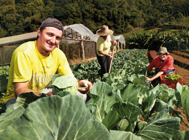 Começa a Semana dos Orgânicos 2016 Foto/Divulgação