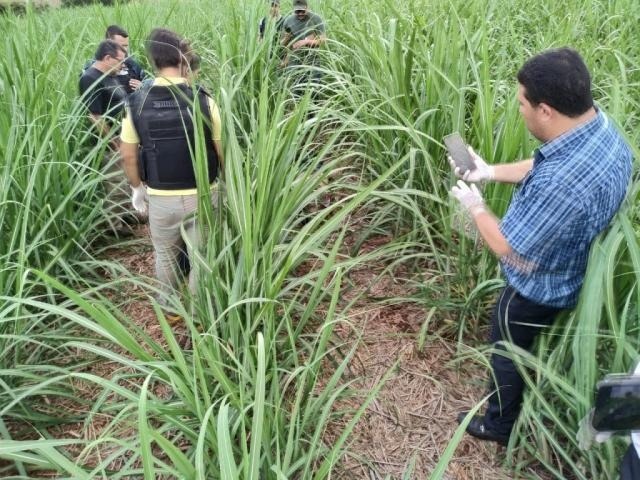 Polícia prende suspeito por morte de taxista e busca outros 2 no Paraguai Corpo do taxista foi localizado em canavial próximo à Lagoa da Pedreira (Foto: Divulgação)