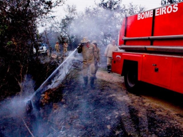 Queimadas na região do Pantanal mobilizaram Corpo de Bombeiros em 2019 (Foto: Chico Ribeiro/Divulgação)