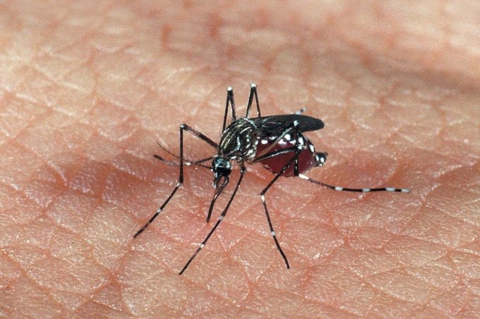 Município de Corumbá confirma primeira morte por dengue hemorrágica em 2020