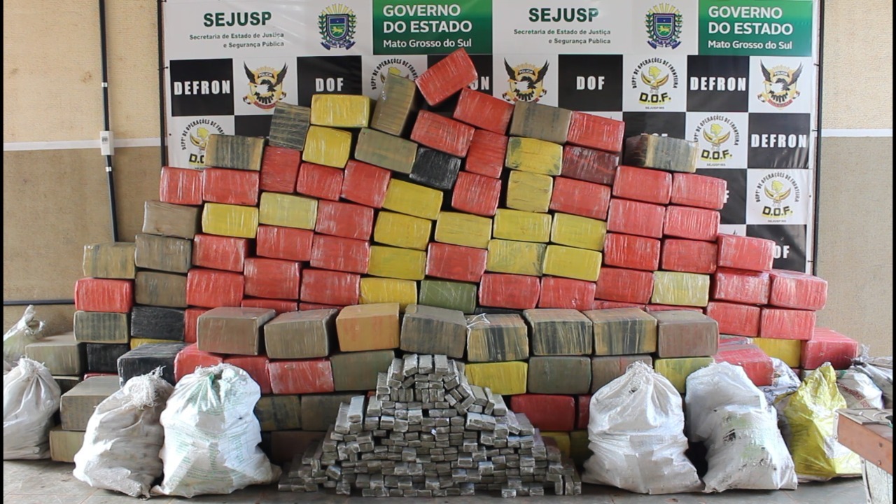 Policiais do DOF fazem a maior apreensão de maconha em 2020 próximo a Ipezal Policiais do DOF fazem a maior apreensão de maconha em 2020 próximo a Ipezal