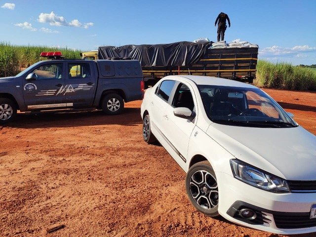 DOF apreende 20 mil pacotes de cigarros contrabandeados em caminhão que seguia para Curitiba DOF apreende 20 mil pacotes de cigarros contrabandeados em caminhão que seguia para Curitiba