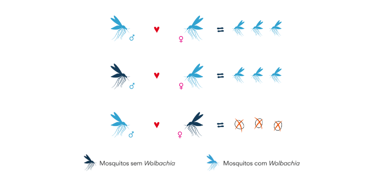 Profissionais da saúde recebem capacitação sobre Método WOLBACHIA