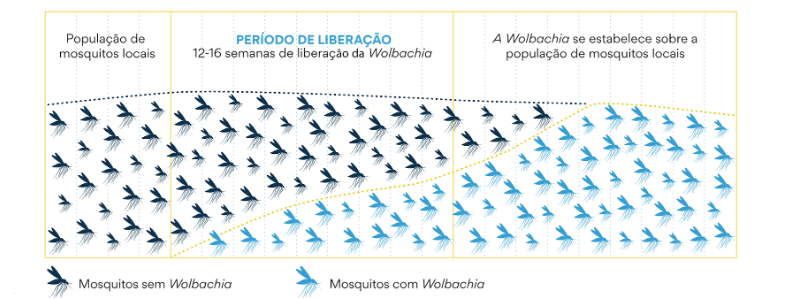 Profissionais da saúde recebem capacitação sobre Método WOLBACHIA