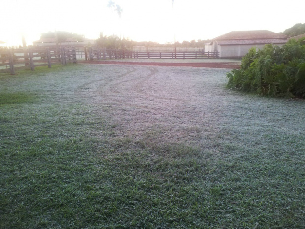 Previsão de geada nas regiões Sul e Sudoeste nesta quinta-feira