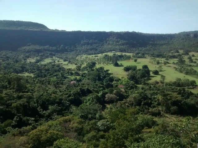 Campo Grande, volume de apartamentos para alugar dispara na cidade Campo Grande, volume de apartamentos para alugar dispara na cidade