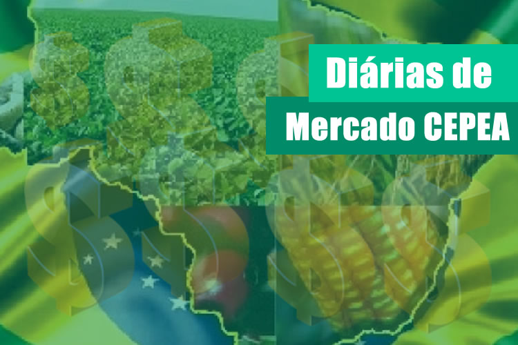 AÇÚCAR/CEPEA: Ritmo de negócios cresce, mas preço segue enfraquecido