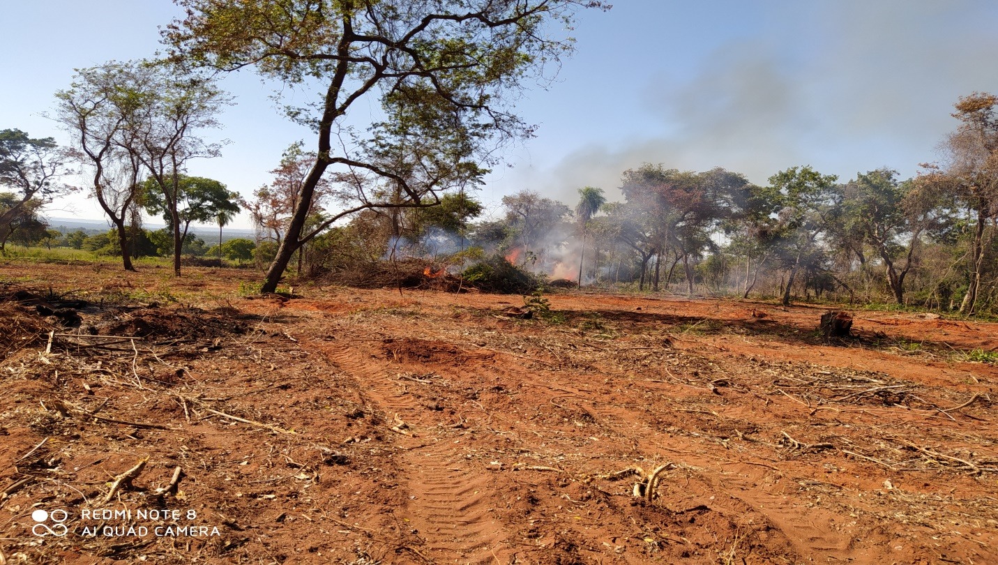 Polícia Militar Ambiental de Jardim autua paranaense por incêndio em pastagem e galhadas em sua propriedade em Nioaque Polícia Militar Ambiental de Jardim autua paranaense por incêndio em pastagem e galhadas em sua propriedade em Nioaque