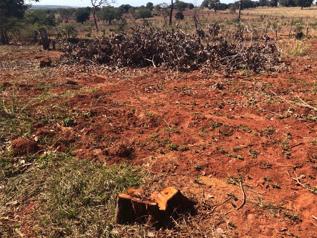 Polícia Militar Ambiental autua infratora em R$ 10 mil por reincidência em exploração ilegal Polícia Militar Ambiental autua infratora em R$ 10 mil por reincidência em exploração ilegal