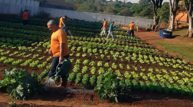 Atualmente, 15 reeducandos trabalham no projeto e recebem um dia de remição na pena a cada três de serviços prestados.
