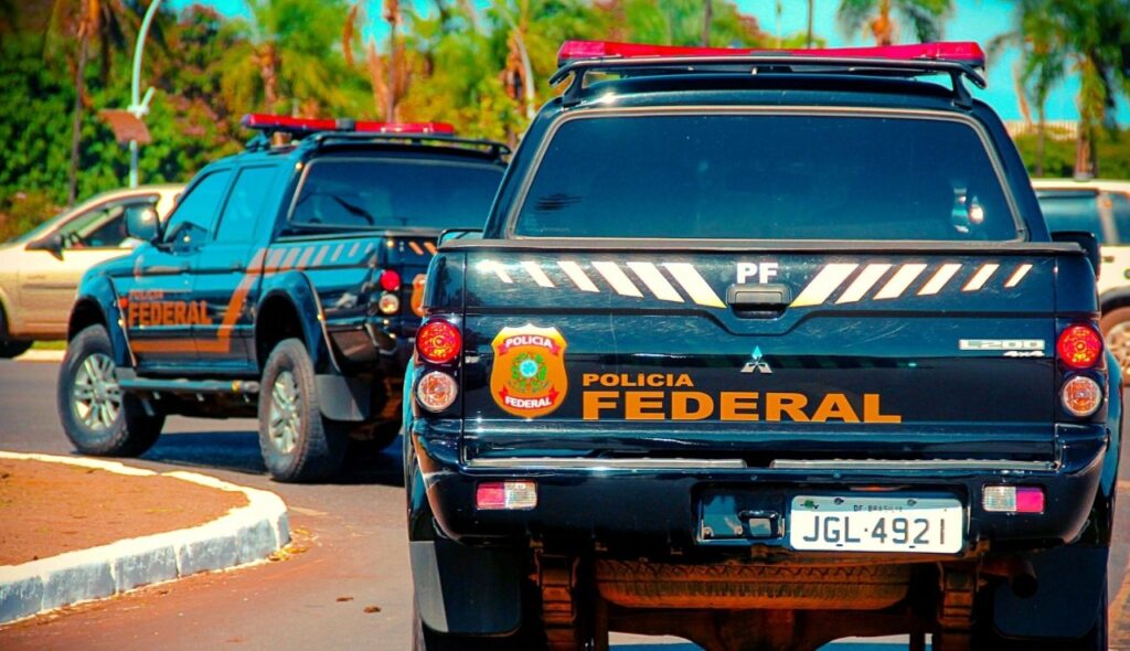 PF encontra diversos animais nativos em bagagem de passageiro que pretendia embarcar em voo para a Rússia PF encontra diversos animais nativos em bagagem de passageiro que pretendia embarcar em voo para a Rússia