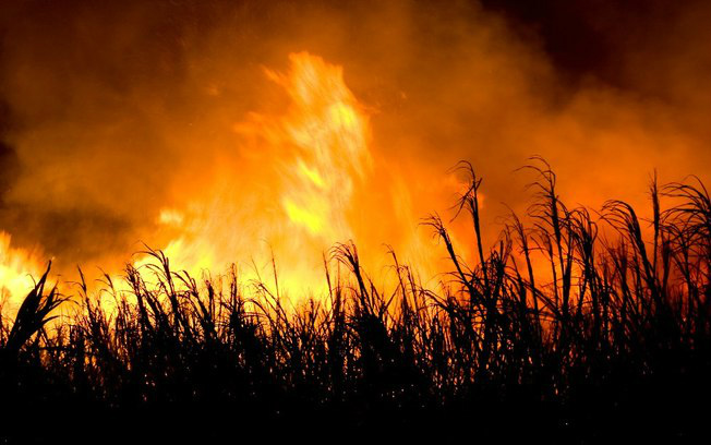 Incêndio provocado pela empresa na madrugada da última sexta-feira (29) Foto: Leandro Medina