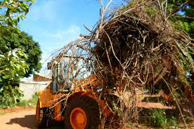 A prefeitura de Nova Alvorada do Sul chega a 2.000 caçambas de lixo recolhidas A prefeitura de Nova Alvorada do Sul chega a 2.000 caçambas de lixo recolhidas